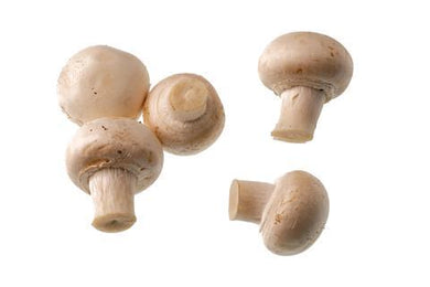 Champiñón