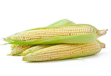 Elote blanco