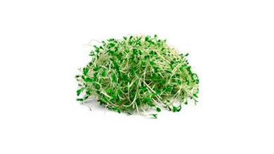 Germen de alfalfa