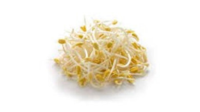 Germen de soya
