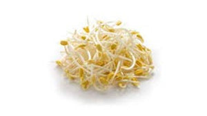 Germen de soya