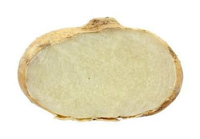 Jícama