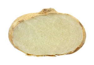 Jícama
