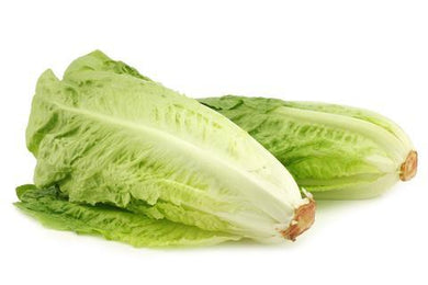 Lechuga romana