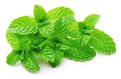 Menta