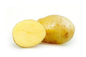 Papa blanca